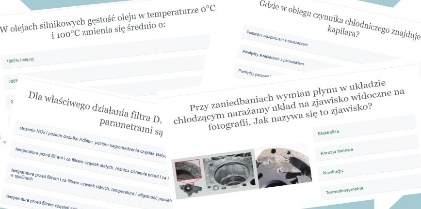 Oto kategorie finałowego testu OTWS